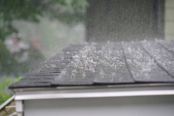 Best Metal Roofing Installation  in Alpena, MI