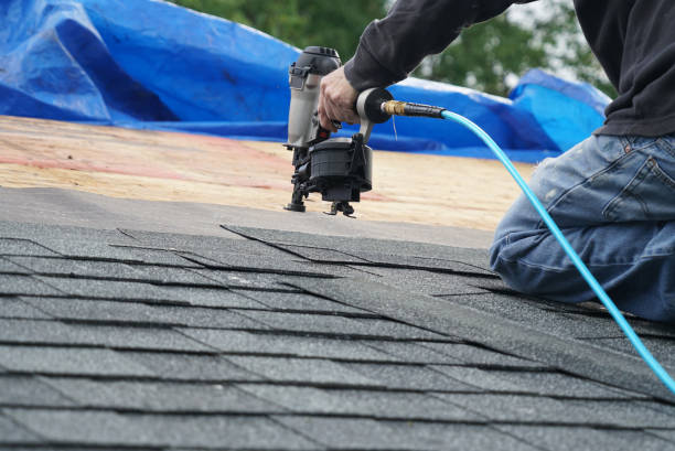 Best Storm Damage Roof Repair  in Alpena, MI